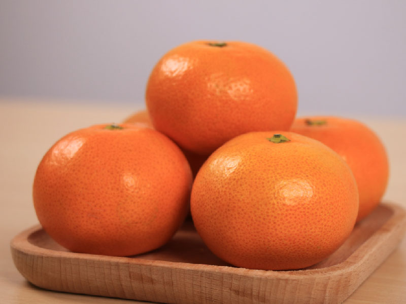 【日本福岡】-無籽蜜柑