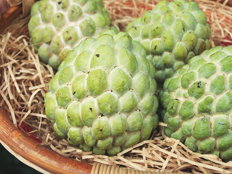 【大目釋迦】太麻里青農