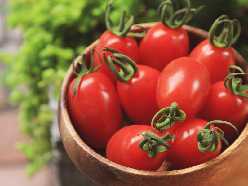 【玉女小番茄】幸福の味農園