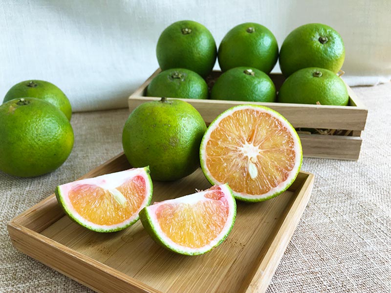 早鳥預購 柑橘季【紅肉柳丁】山上阿德