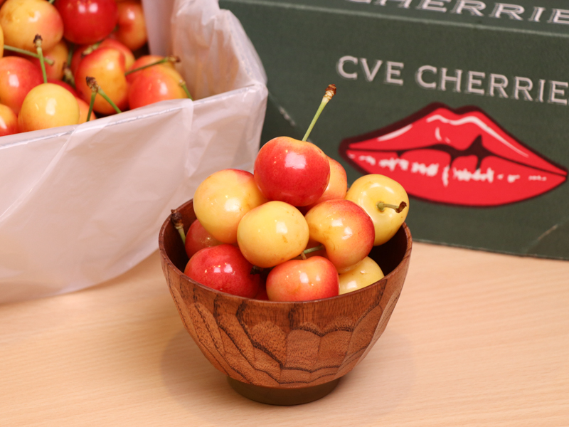 【紐西蘭】-大嘴巴白櫻桃