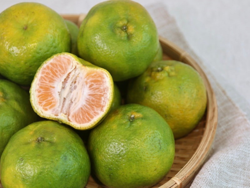 雙11限定【無毒農】椪柑