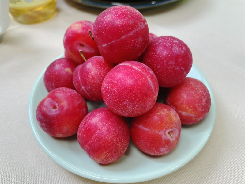 【智利】-櫻桃李