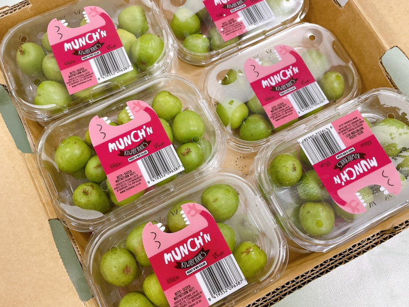 【紐西蘭】-奇異莓