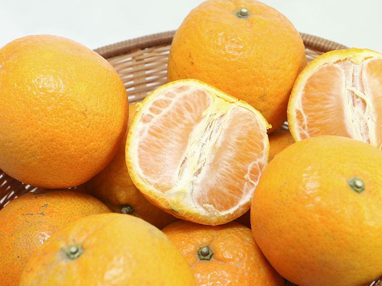 超值加購【無毒農】桶柑