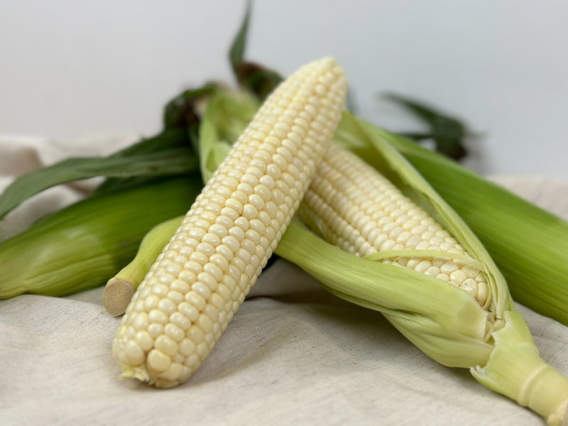 【無毒農】白龍王玉米