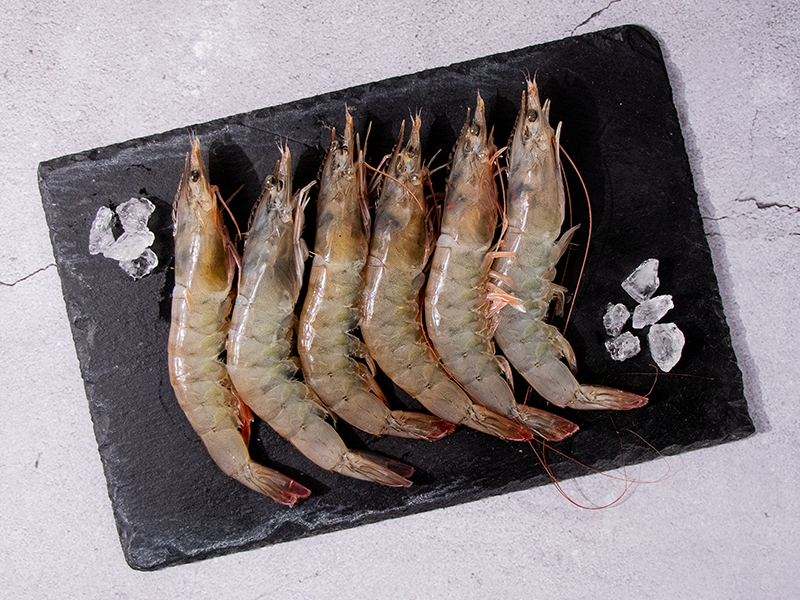 限時6折【紅太陽】生凍大白蝦