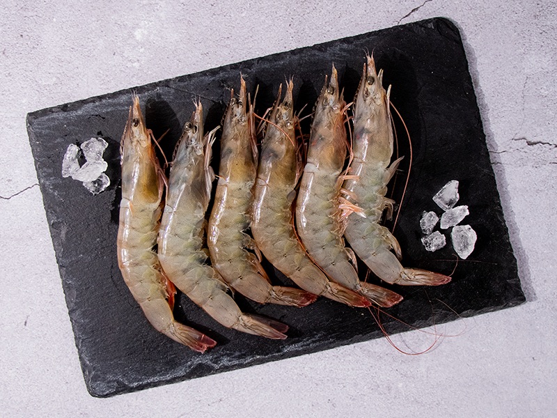 【紅太陽】生凍大白蝦