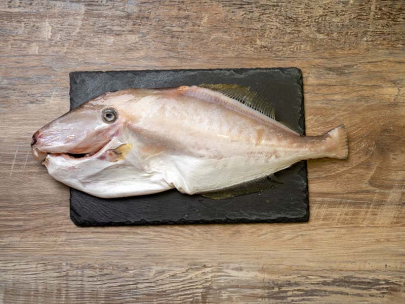 2/2澎湖直播《預購》澎湖野生剝皮魚