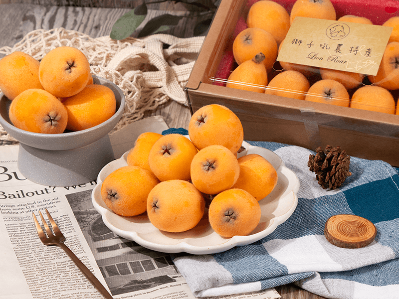 早鳥預購8折 【高山枇杷】獅子吼