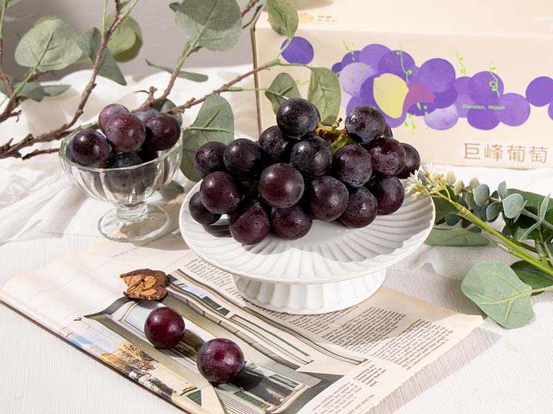 【巨峰葡萄】褚譽合作社