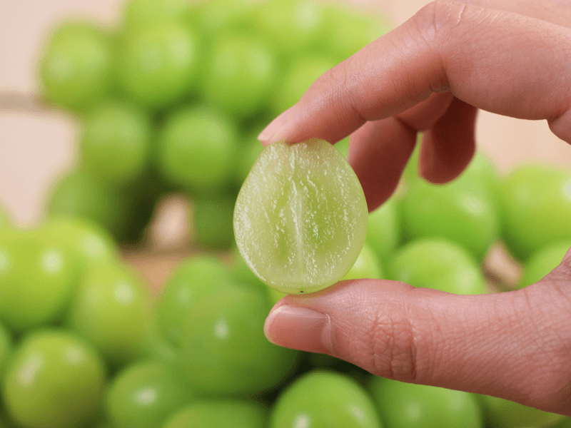 【韓國】-麝香葡萄