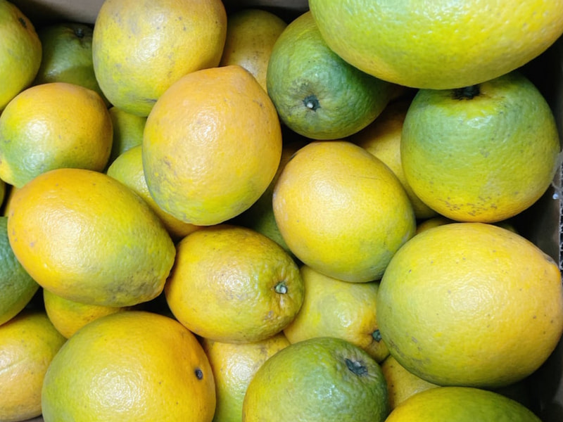 限時優惠【無毒農】木瓜柳丁