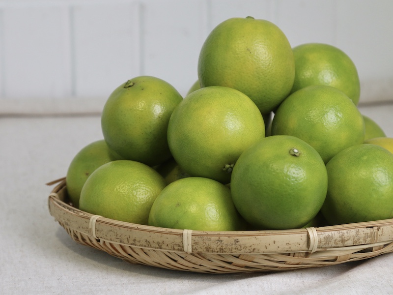 柑橘季【茂谷柳丁】茂谷柳丁小王子