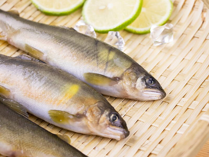 滿$1799享$1加購【無毒農嚴選】單隻公香魚