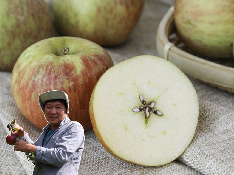蘋果季【大禹嶺蜜蘋果】碧綠農場