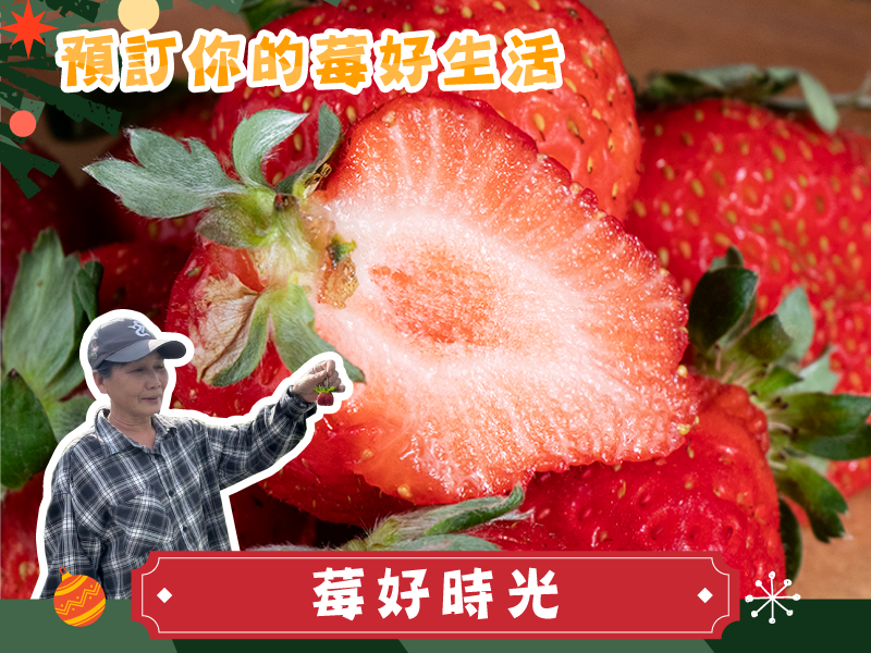 草莓季【香水草莓】莓好時光