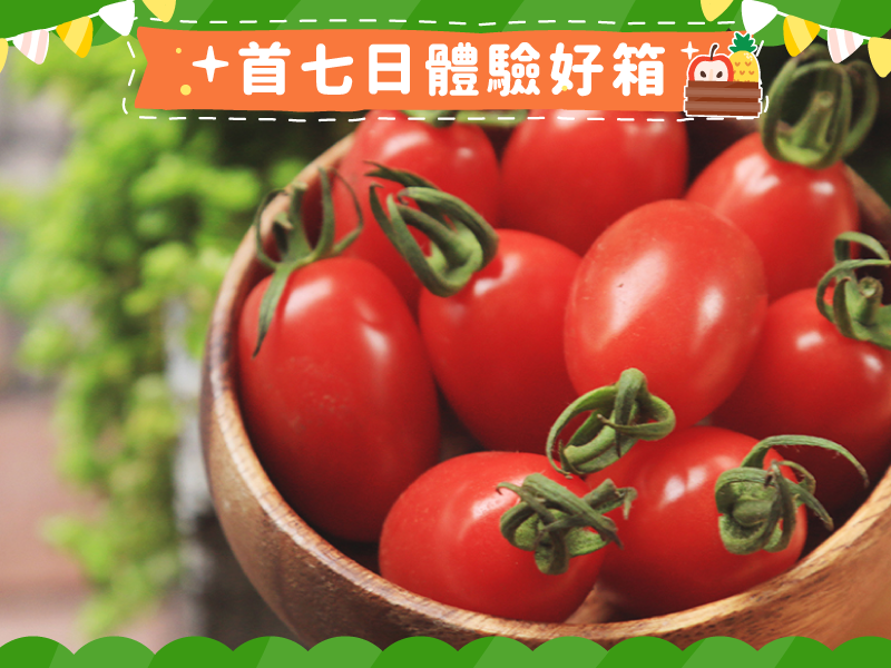 【玉女小番茄】幸福の味農園