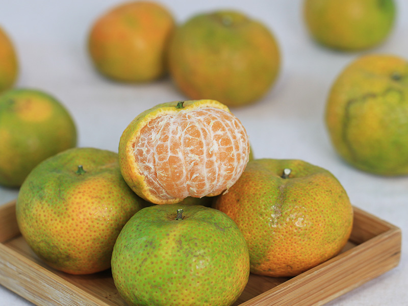 週年慶66折起 柑橘季 【砂糖橘】褚譽合作社