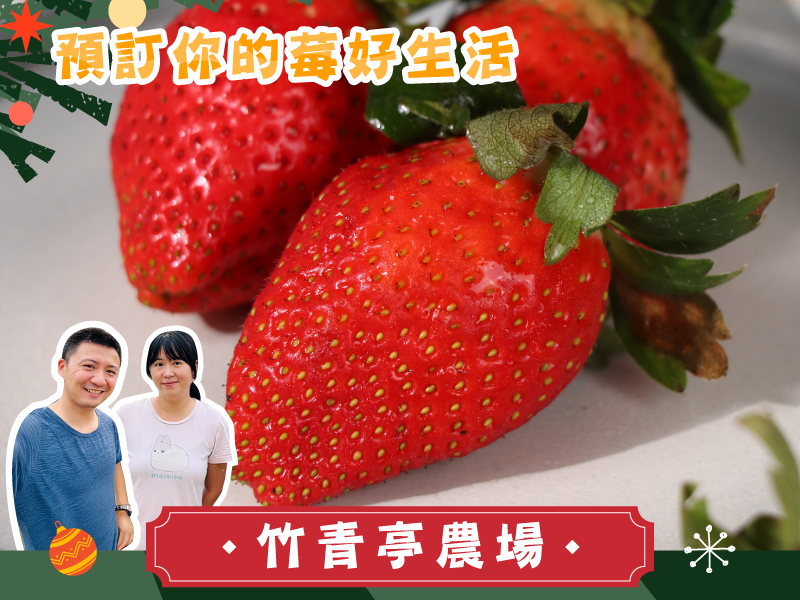 早鳥預購7折起 草莓季【有機天來三號草莓】竹青亭農場
