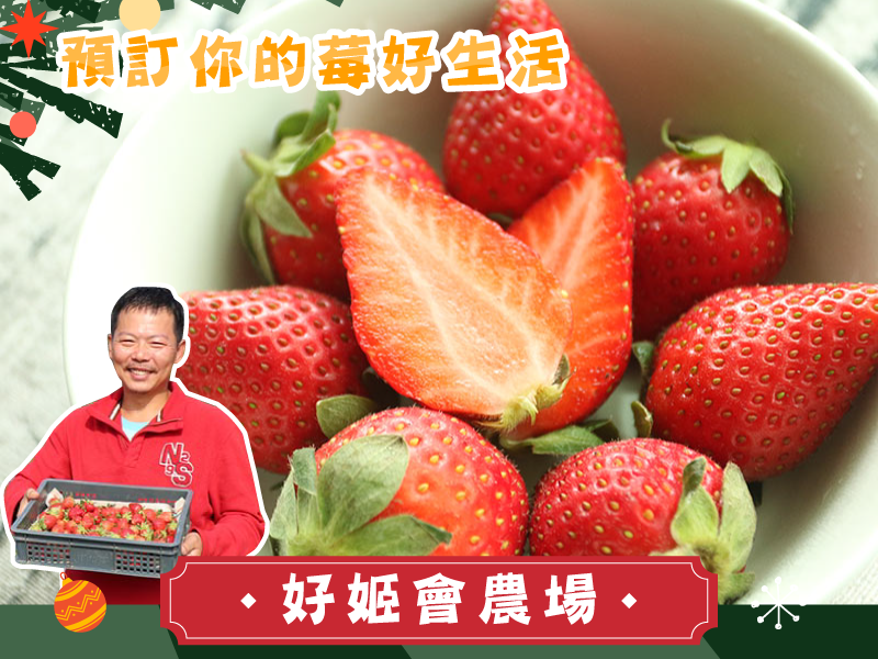 早鳥預購66折起 草莓季【有機香水草莓】好姬會農場