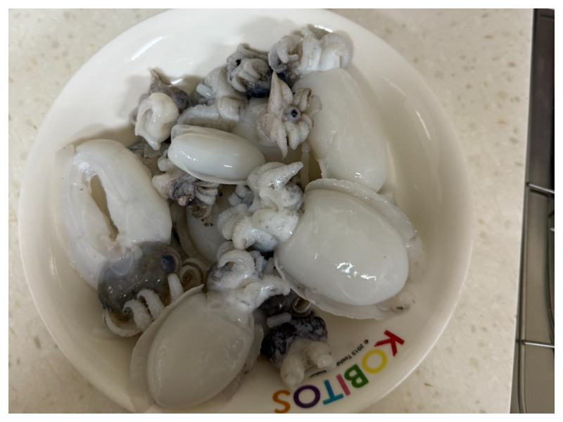 12/12澎湖直播《預購》小花枝