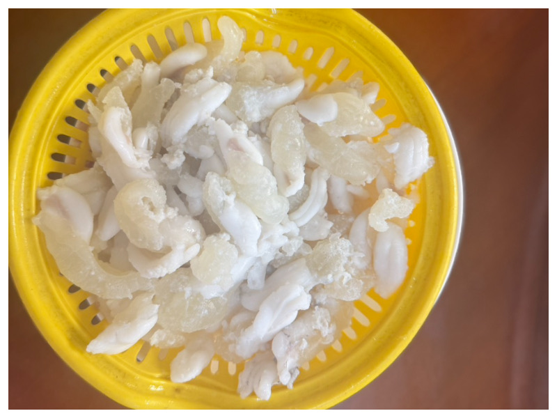 12/12澎湖直播《預購》小管蛋