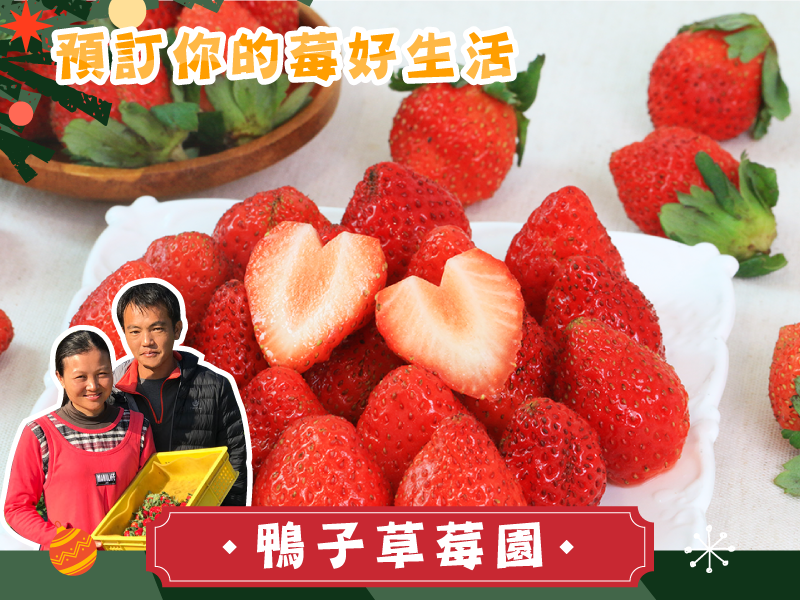 限量開賣 周年優惠65折起 草莓季【有機豐香草莓】鴨子草莓園