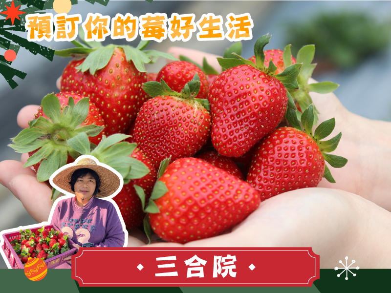 早鳥優惠7折 草莓季【香水草莓】三合院