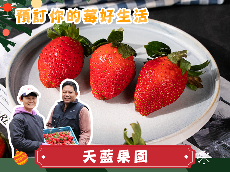 週年慶優惠69折起 草莓季【日系草莓】天藍果園