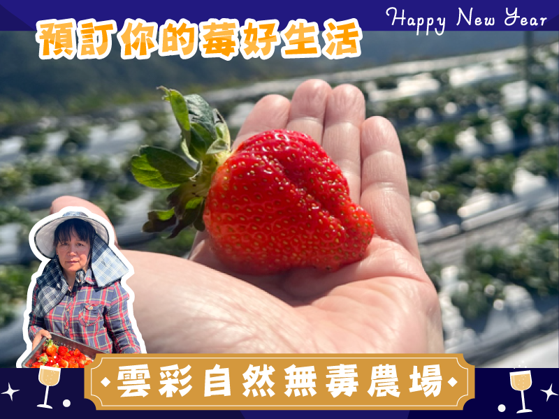 早鳥7折優惠 草莓季【高山綜合草莓】雲彩自然無毒農場