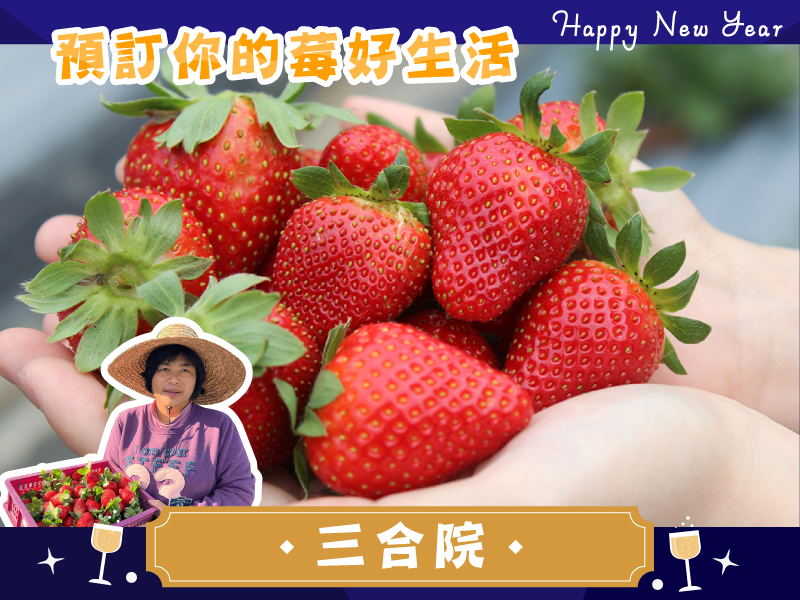 早鳥優惠7折 草莓季【香水草莓】三合院