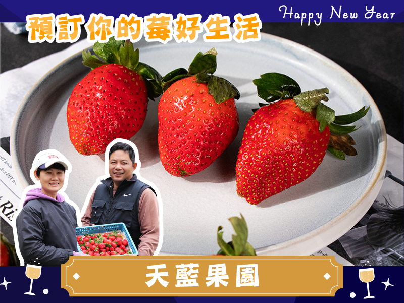 早鳥優惠69折起 草莓季【日系草莓】天藍果園