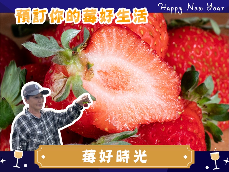 草莓季【香水草莓】莓好時光