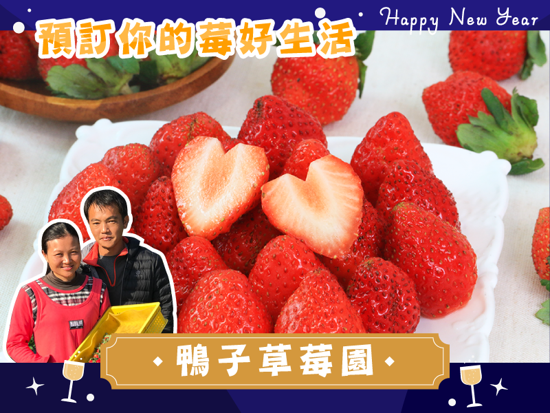 限量65折起 草莓季【有機豐香草莓】鴨子草莓園