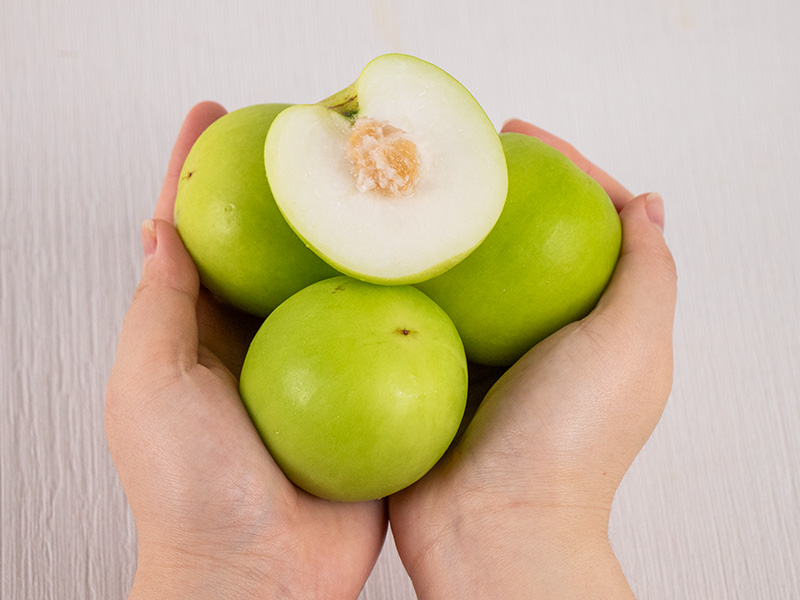 假單品發送簡訊測試