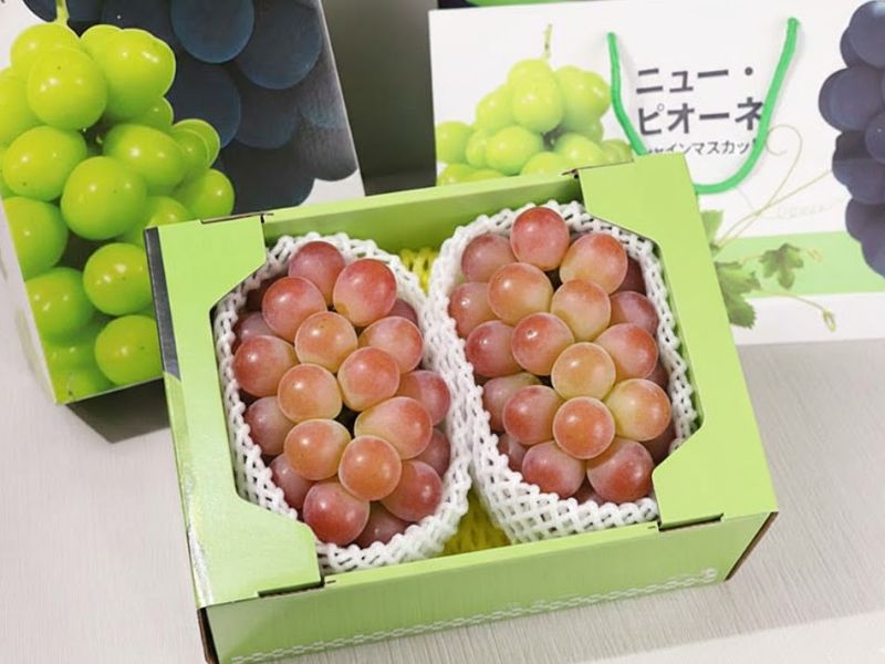 【妮娜公主葡萄禮盒】無毒農嚴選