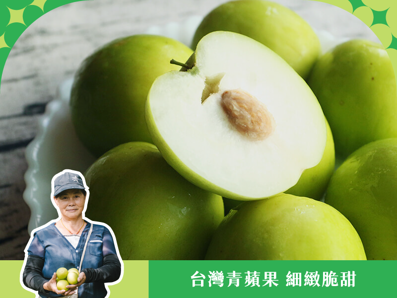 【精選蜜棗】棗鄉