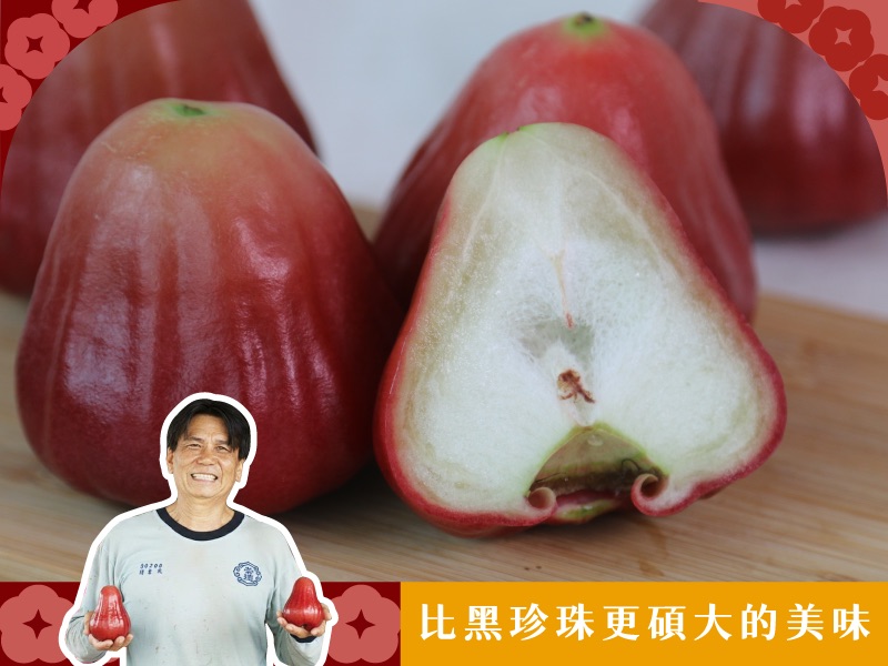 蓮霧季【黑金剛蓮霧】黑金鋼果園｜無毒農