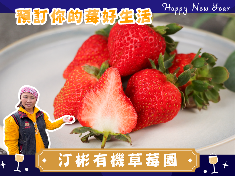 早鳥預購 草莓季【有機綜合紅草莓】汀彬有機草莓園