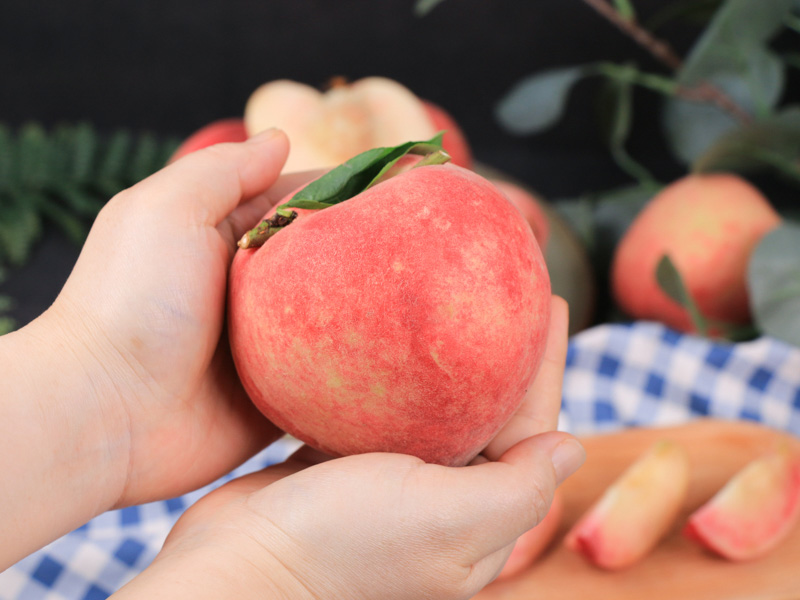 石虎友善【紅鈴水蜜桃】銘雄堂有機農場