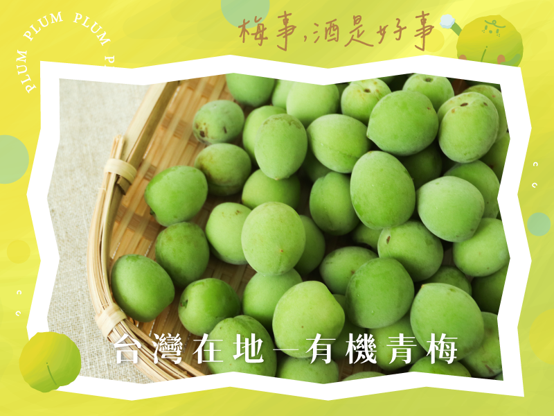 梅子季【有機手採青梅】上好梅園|無毒農