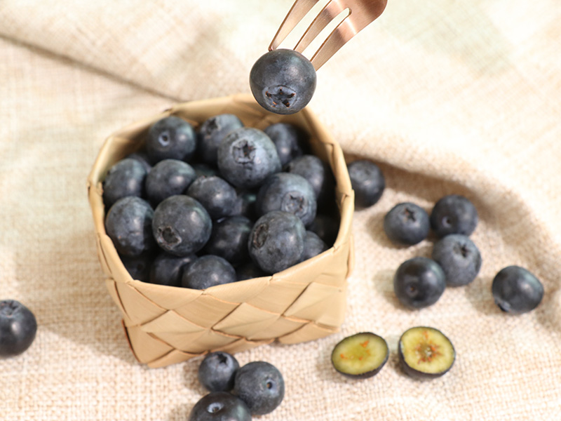 【台灣藍莓】莓果日記