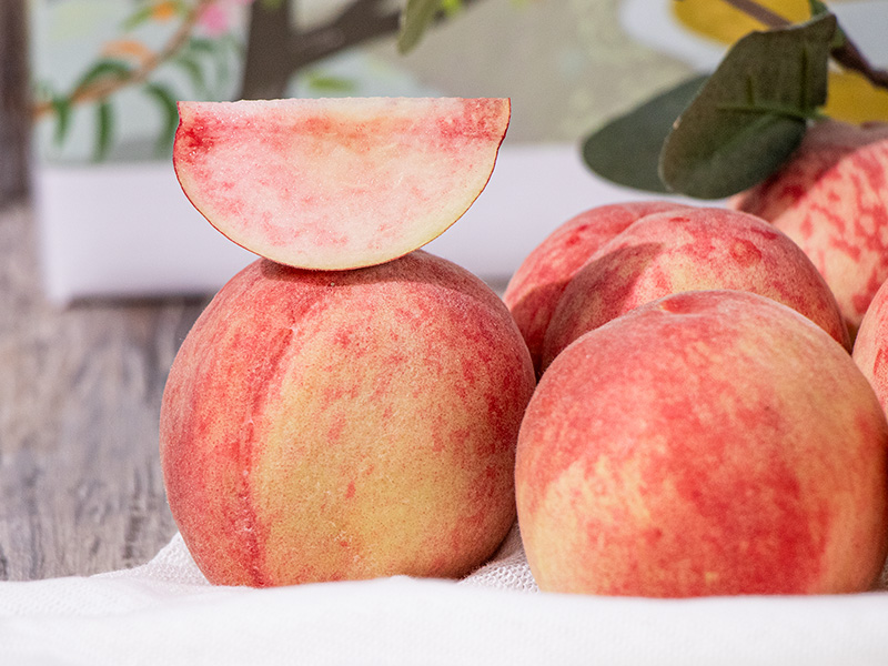 【拉拉山五月桃】嘍嘎菇+雲月