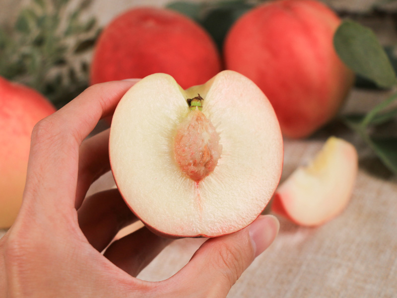 石虎友善【紅玉水蜜桃】銘雄堂有機農場