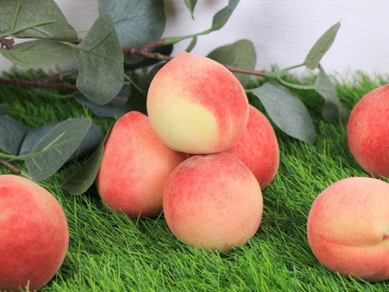 【拉拉山五月桃】神木與桃