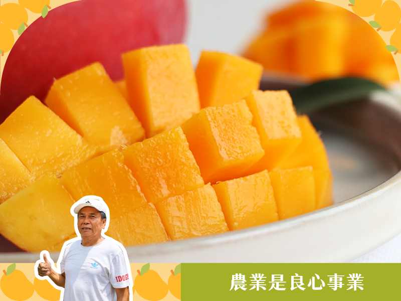 618限時優惠 芒果季【枋山總統級愛文芒果】黑金鋼果園
