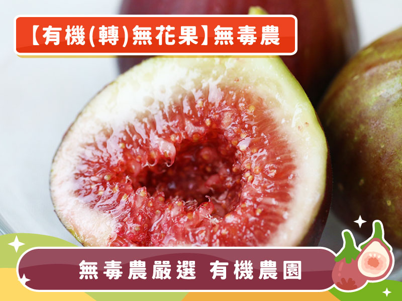 【有機(轉)無花果】無毒農