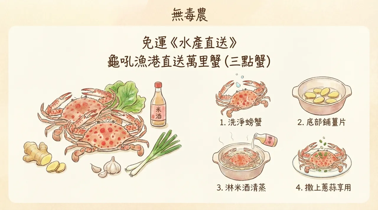 【食譜】龜吼漁港直送萬里蟹！零失敗「清蒸三點蟹」極簡做法