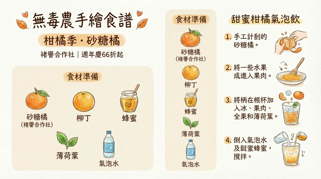 柑橘氣泡飲食譜｜4步驟自製清爽好滋味，無毒農手繪食譜公開